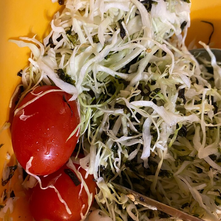トマトとキャベツのサラダ レシピ 作り方 By Wormom 楽天レシピ トマトとキャベツのサラダ レシピ 作り方 By Wormom 楽天レシピ
